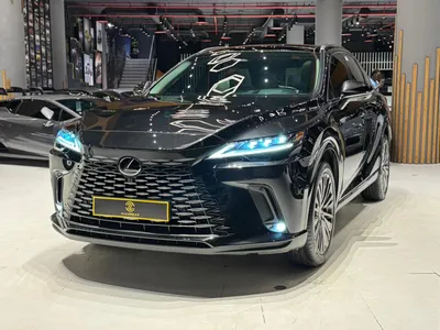 2025 لكزس أر إكس 350