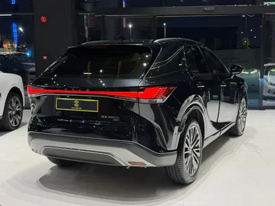 2025 لكزس أر إكس 350