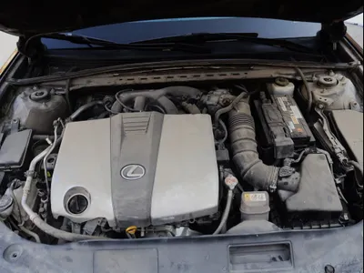 2019 لكزس إي إس 350 اف سبورت