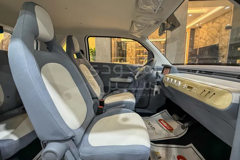 2025 فاو بيستون ميني إي في