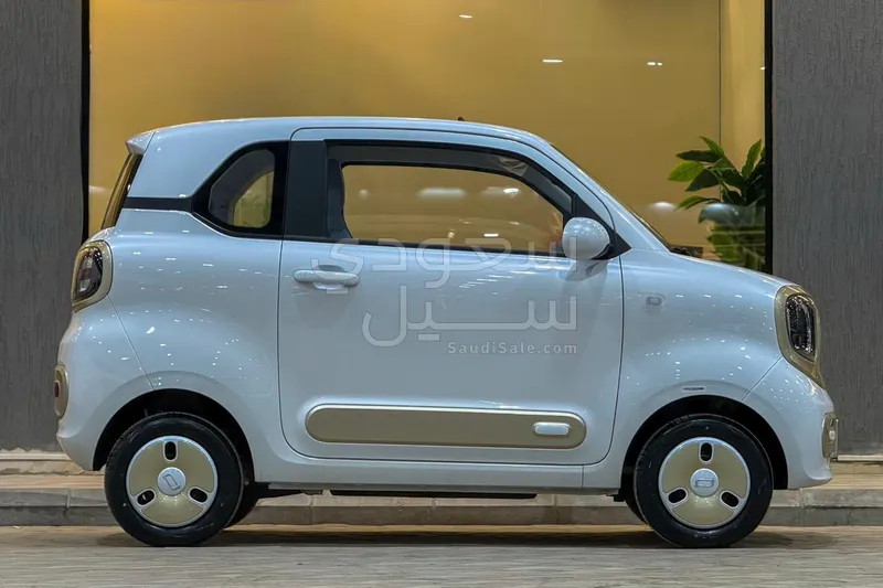 2025 فاو بيستون ميني إي في