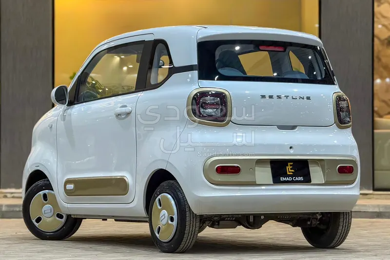 2025 فاو بيستون ميني إي في