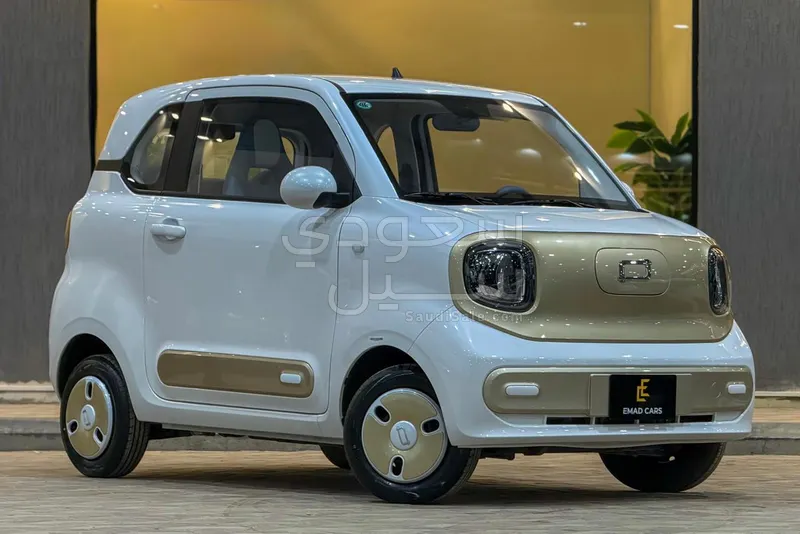 2025 فاو بيستون ميني إي في