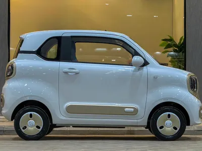 2025 فاو بيستون ميني إي في