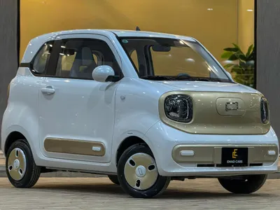 2025 فاو بيستون ميني إي في