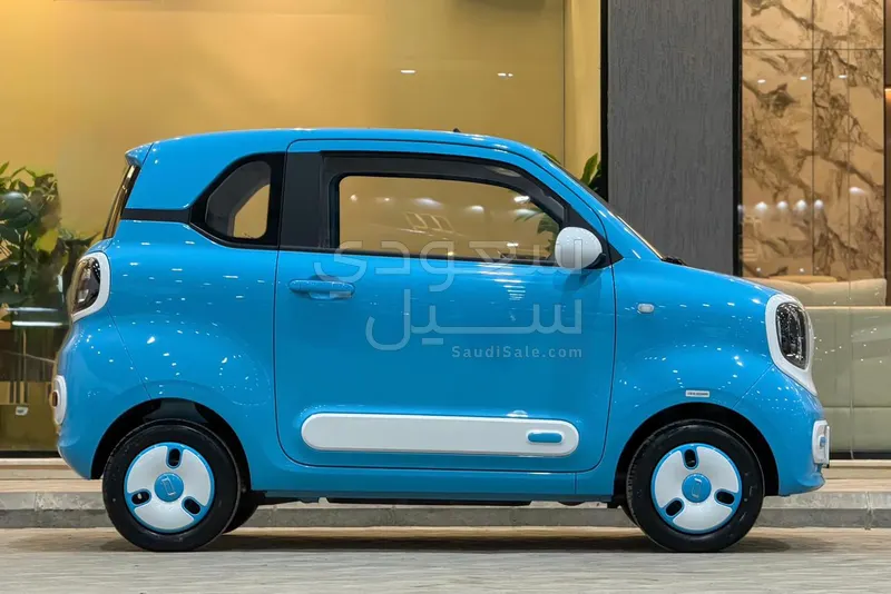 2025 فاو بيستون ميني إي في