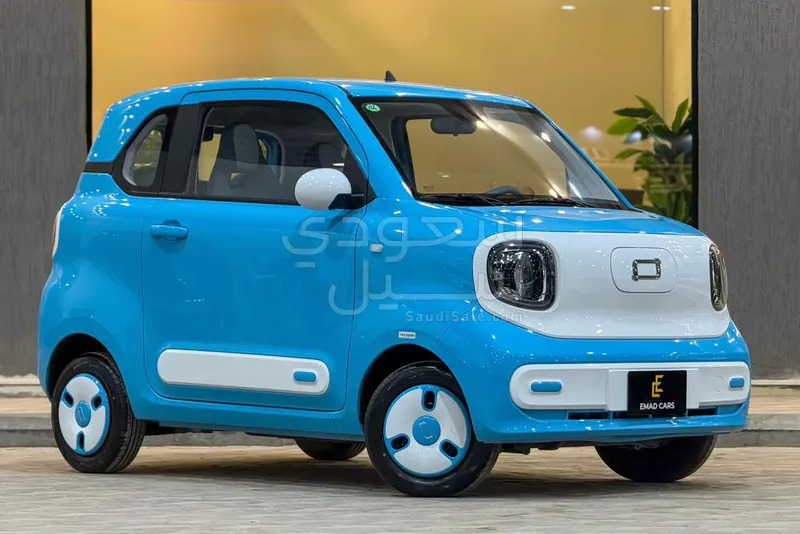 2025 فاو بيستون ميني إي في