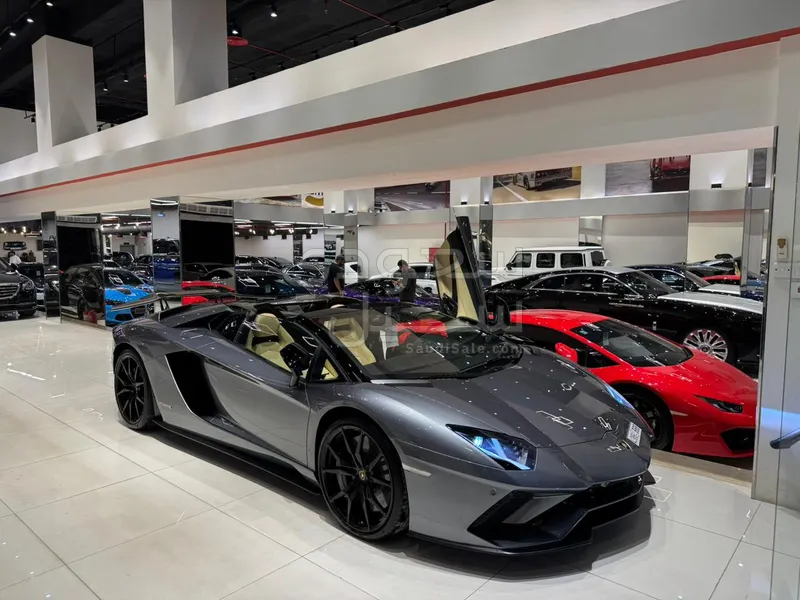 2019 لمبرجيني افنتادور رودستر