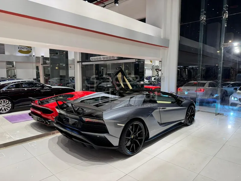 2019 لمبرجيني افنتادور رودستر