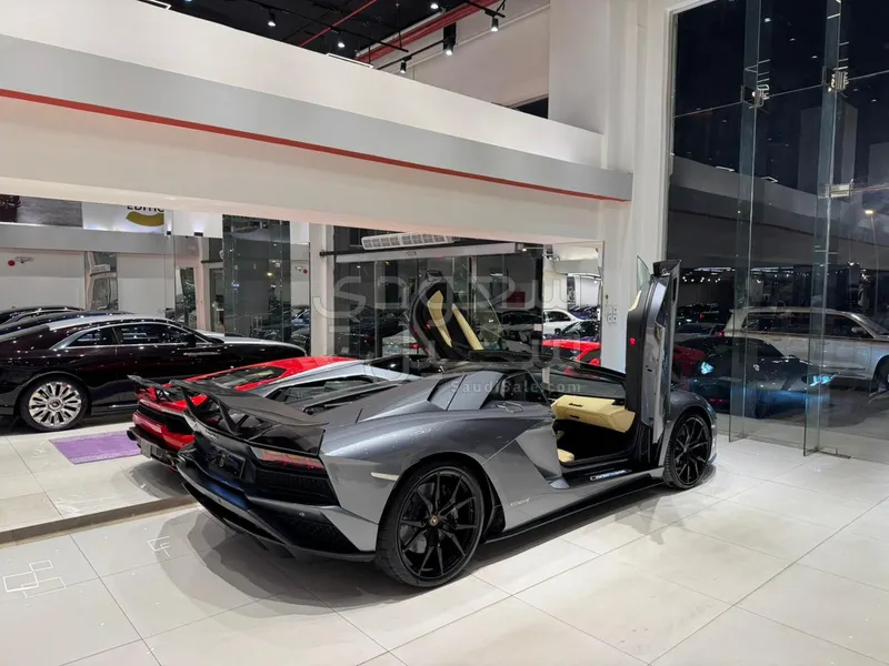 2019 لمبرجيني افنتادور رودستر