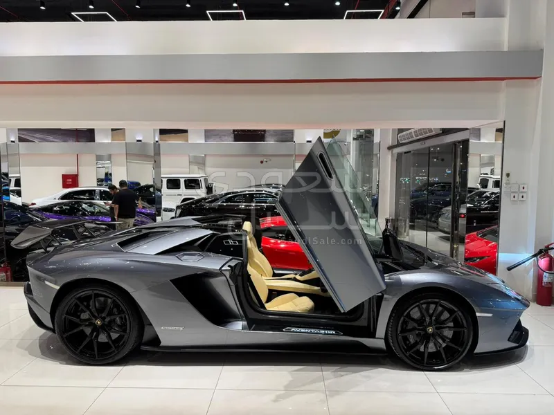 2019 لمبرجيني افنتادور رودستر