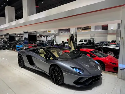 2019 لمبرجيني افنتادور رودستر