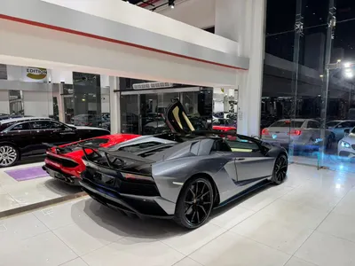 2019 لمبرجيني افنتادور رودستر