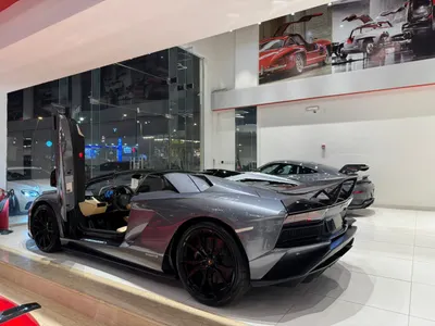 2019 لمبرجيني افنتادور رودستر