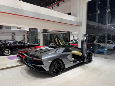 2019 لمبرجيني افنتادور رودستر