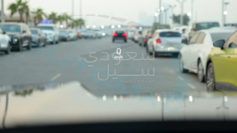 2025 بي واي دي ليوبارد 8