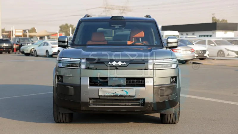 2025 بي واي دي ليوبارد 8