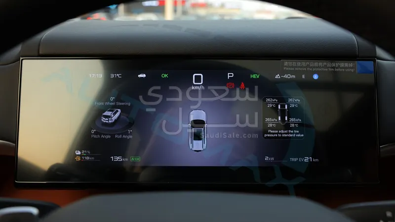 2025 بي واي دي ليوبارد 8