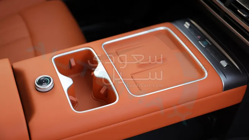 2025 بي واي دي ليوبارد 8