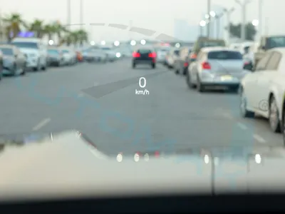 2025 بي واي دي ليوبارد 8