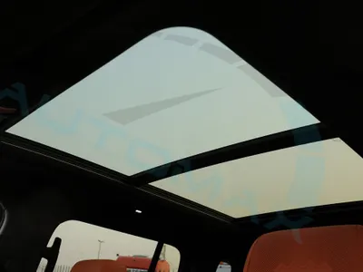 2025 بي واي دي ليوبارد 8