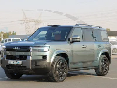 2025 بي واي دي ليوبارد 8