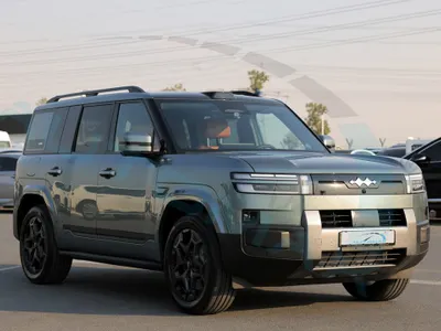 2025 بي واي دي ليوبارد 8