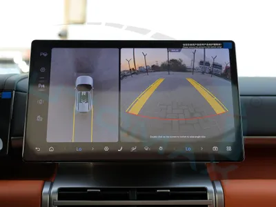 2025 بي واي دي ليوبارد 8