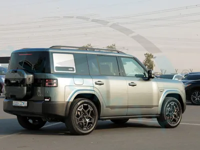 2025 بي واي دي ليوبارد 8