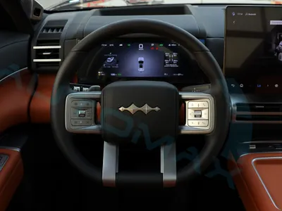 2025 بي واي دي ليوبارد 8