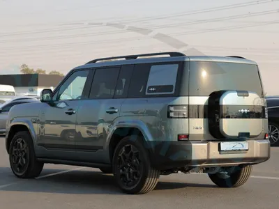 2025 بي واي دي ليوبارد 8