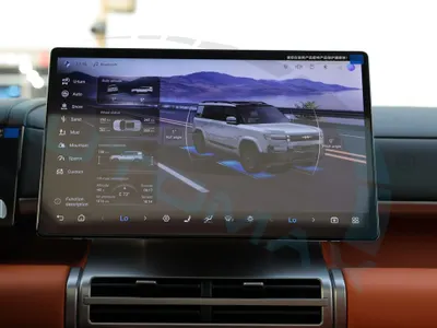 2025 بي واي دي ليوبارد 8