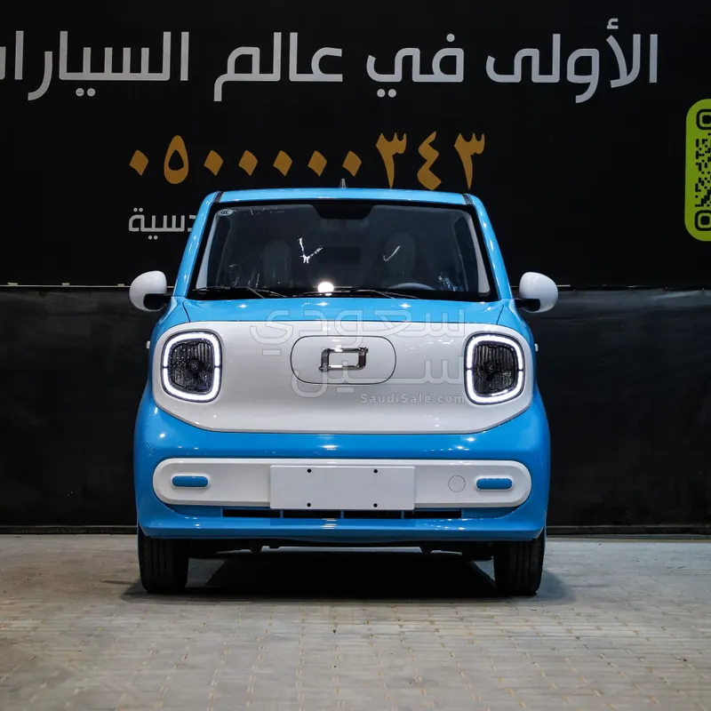 2025 فاو بيستون ميني إي في