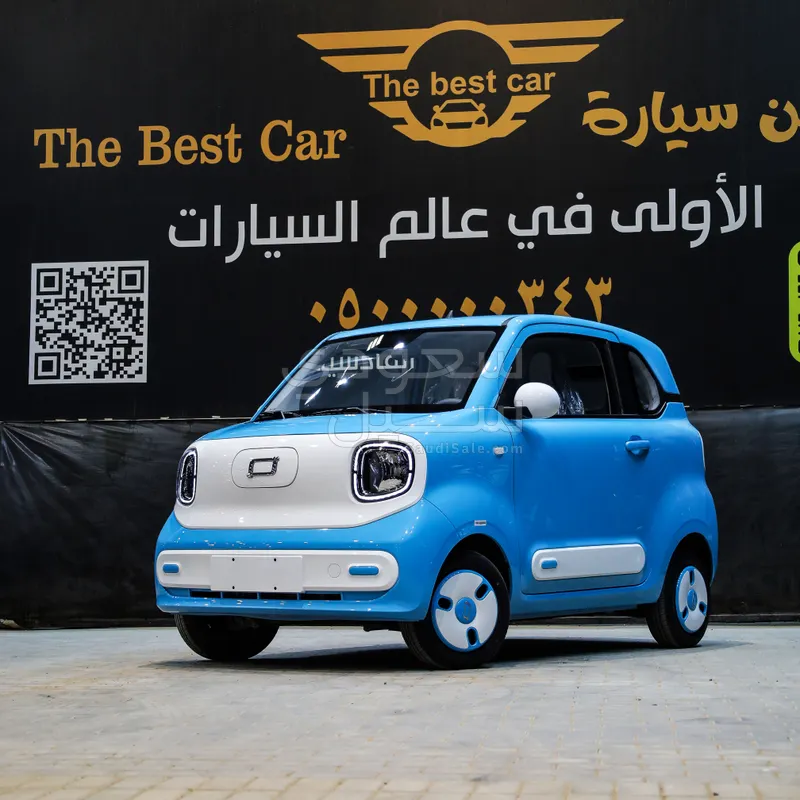 2025 فاو بيستون ميني إي في