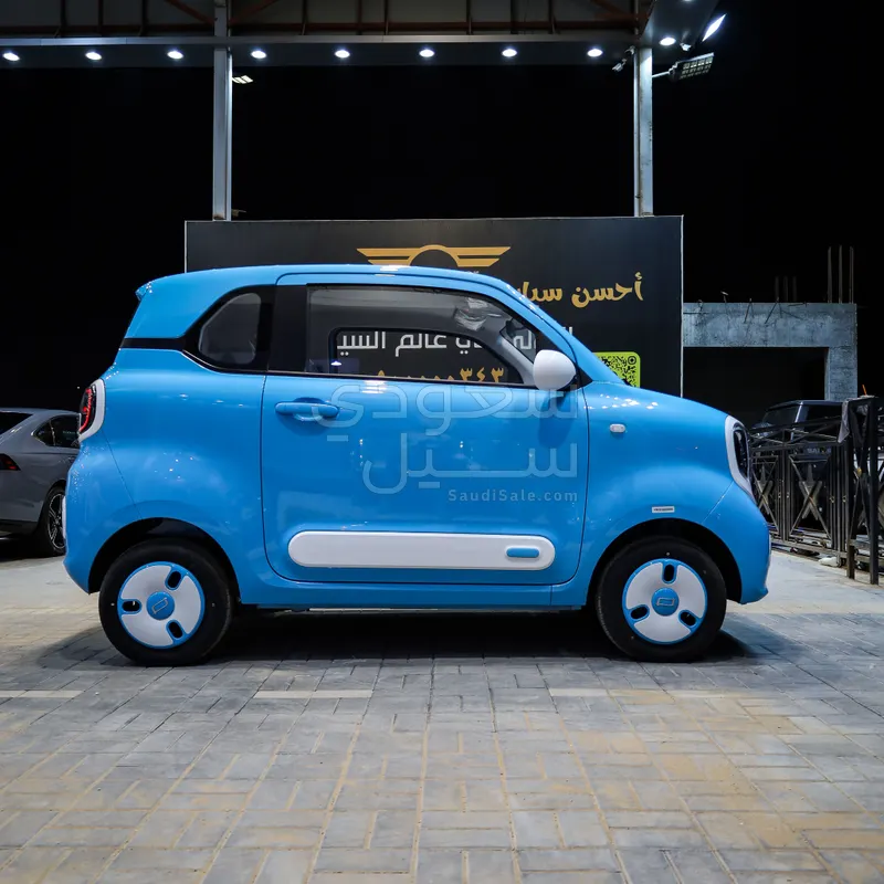 2025 فاو بيستون ميني إي في