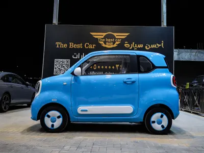 2025 فاو بيستون ميني إي في