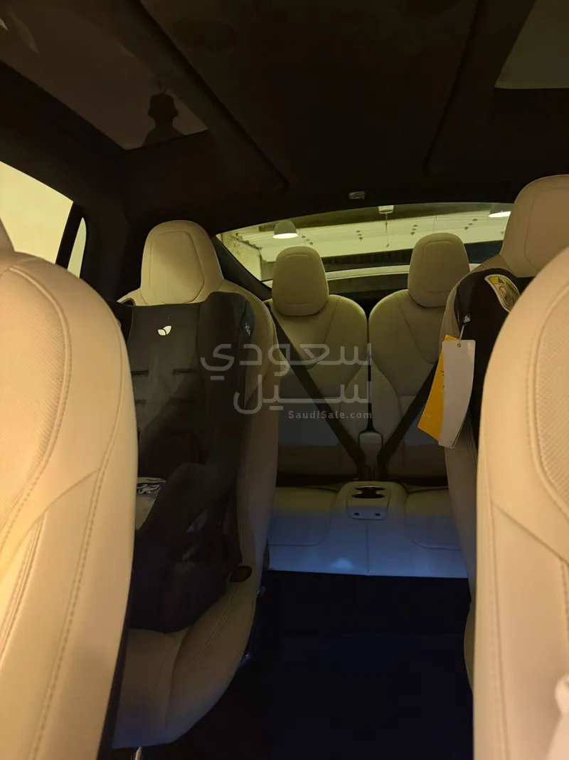 2024 تيسلا موديل اكس