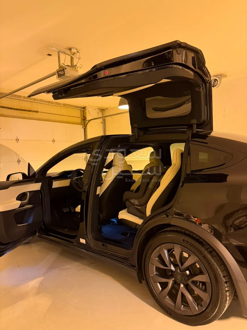 2024 تيسلا موديل اكس