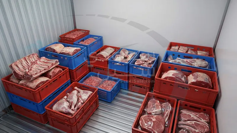 2025 سي ام سي فريكا