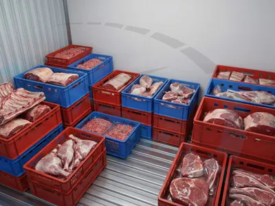 2025 سي ام سي فريكا