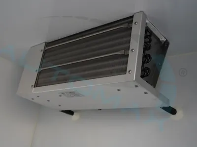 2025 سي ام سي فريكا