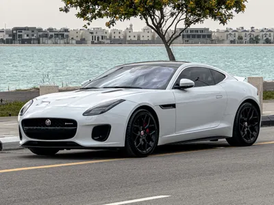2019 جاكوار اف-تايب بي 300