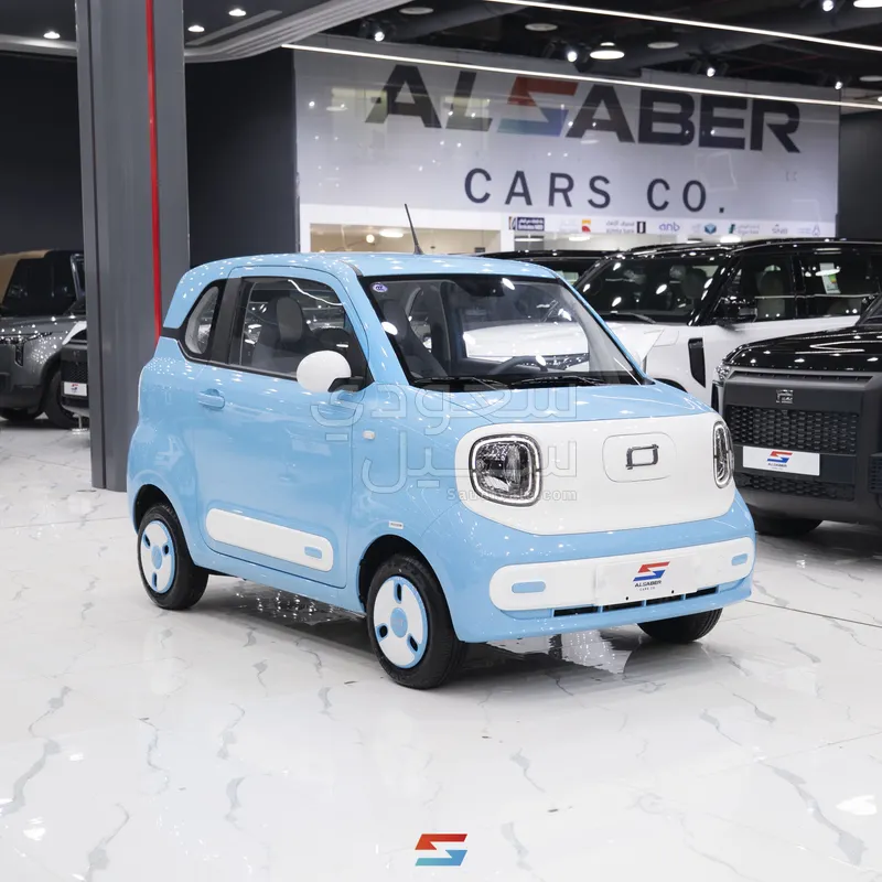 2025 فاو بيستون ميني إي في