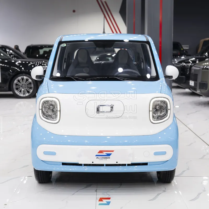 2025 فاو بيستون ميني إي في