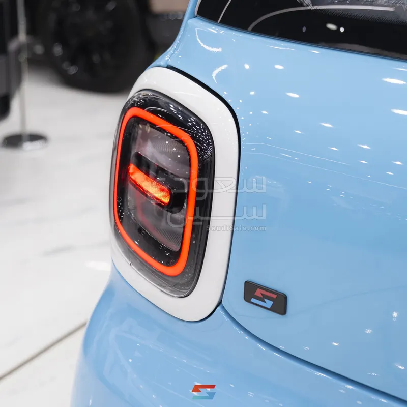 2025 فاو بيستون ميني إي في