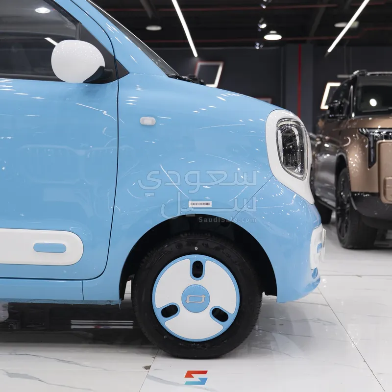 2025 فاو بيستون ميني إي في