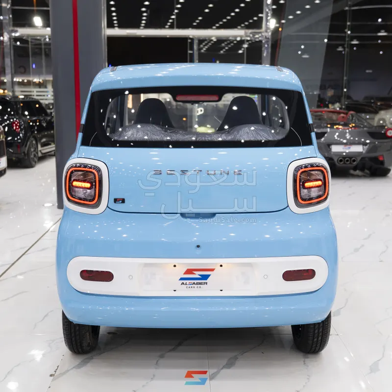 2025 فاو بيستون ميني إي في