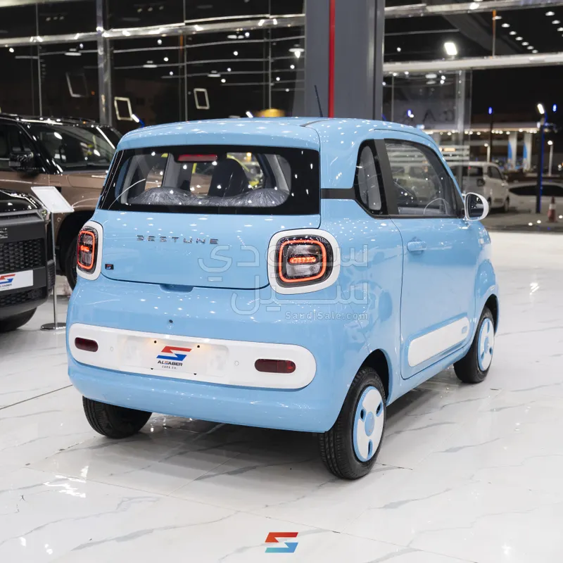 2025 فاو بيستون ميني إي في