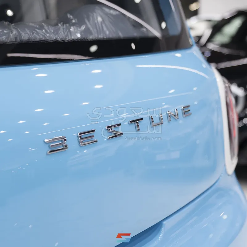 2025 فاو بيستون ميني إي في