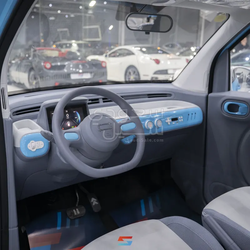 2025 فاو بيستون ميني إي في